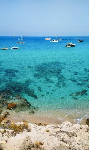 fotoVerticaleFavigna